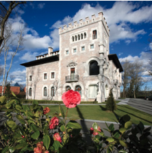 Castillo del bosque la Zoreda