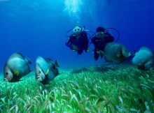 Buceo en Asturias