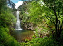 Naturaleza Asturias