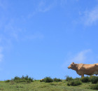 asturias